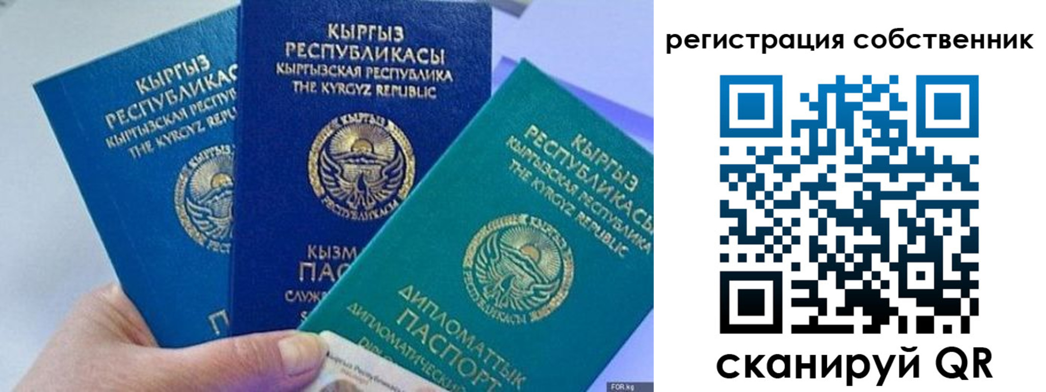 регистрация в Белой Холунице